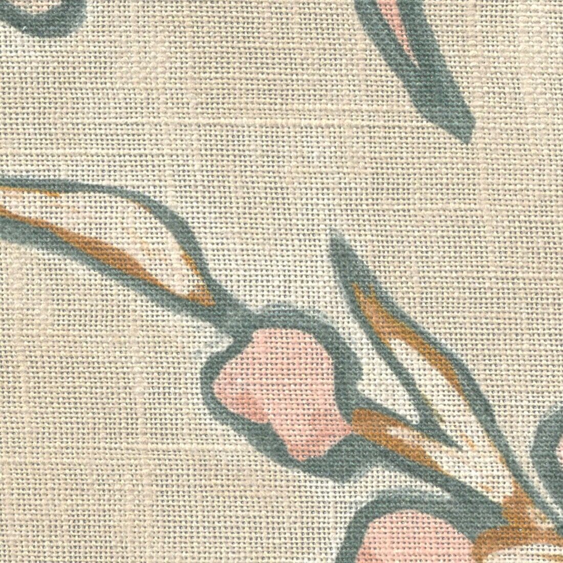 Peach  , DSFD_156_Janice-3680611000 – 1