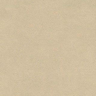 Daisy White  , SN05-951 – 4