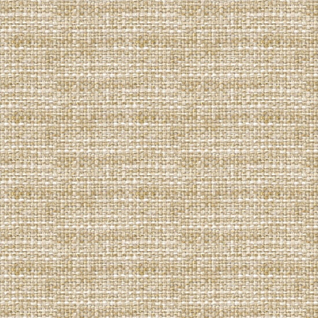 Parchment  , DSFD_64_Bailey-3954411007 – 7