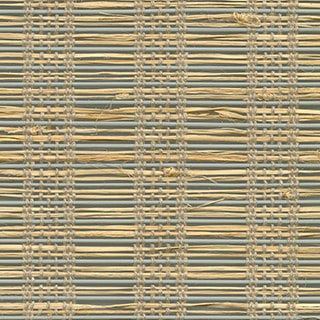 Swatch 1