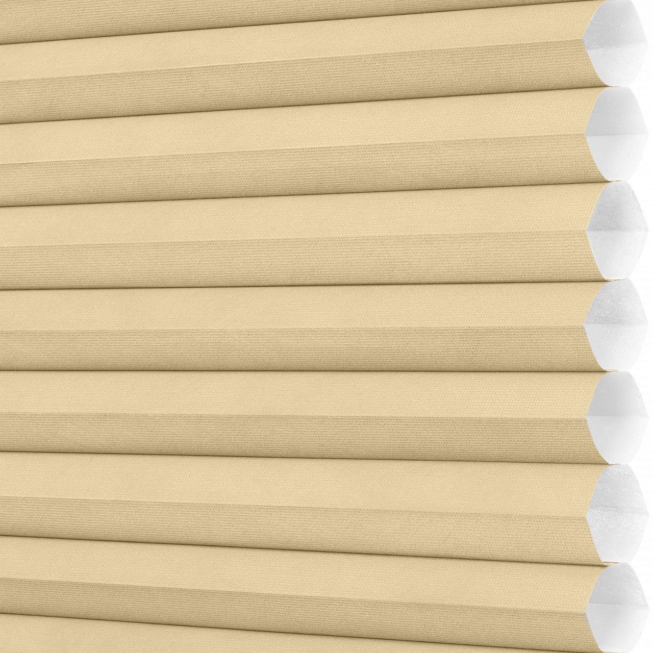 Frostline  , E40-599 – 12