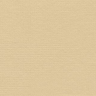 Swatch 12