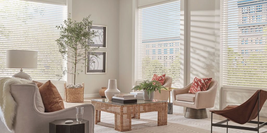 Horizontal Blinds Reimagined