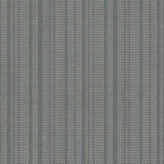 Swatch 12