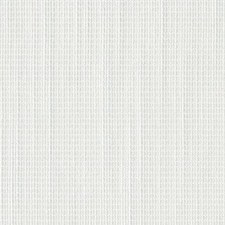 Swatch 2