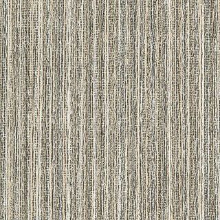 Swatch 2