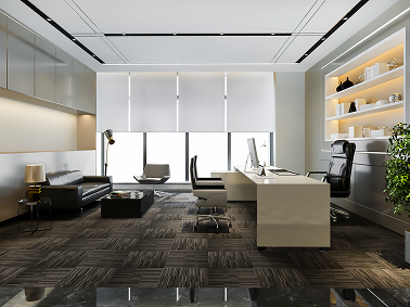 Motorized Window Coverings