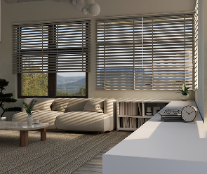 Window Blinds