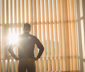 Window Shades